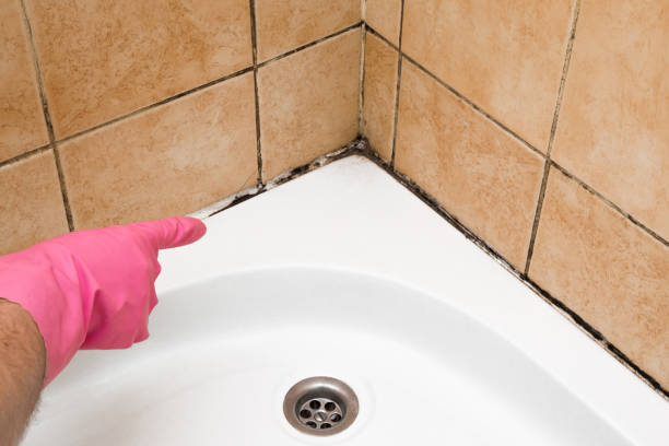 Best Mold Cleaning Services  in Springfield, SD